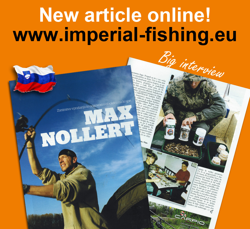 Mag Article Slovenian Blinker 2013: Max Nollert Interview