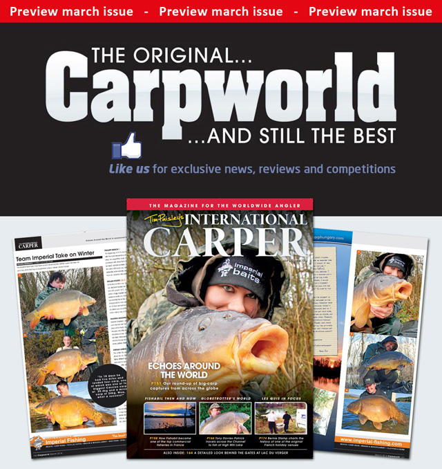Carpworld Cover 640