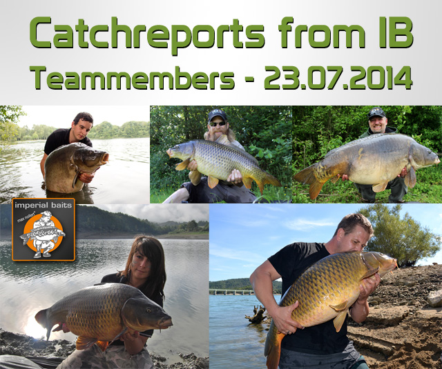 Catch Reports from IB Teammembers – 23.07.2014