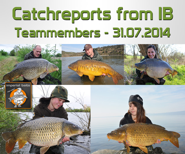 Catch Reports from IB Teammembers – 31.07.2014