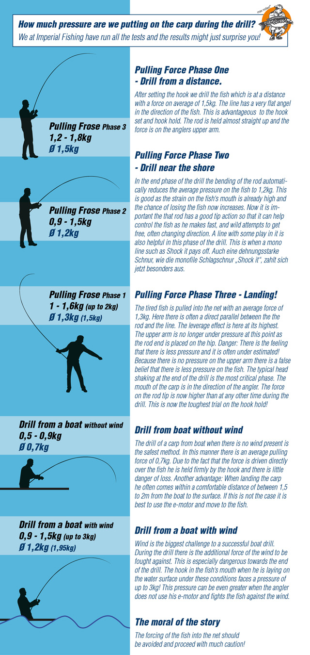 How much pulling force are we placing on the carp during a drill?