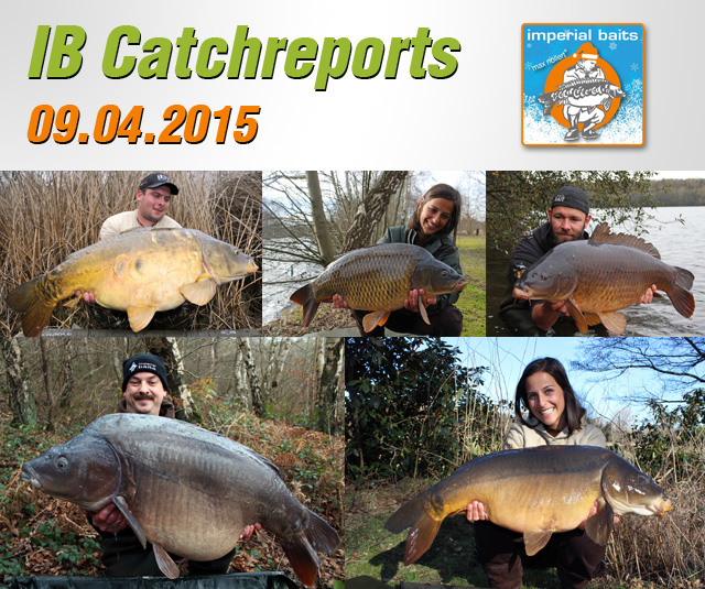 IB Catch Reports – 09.04.2015