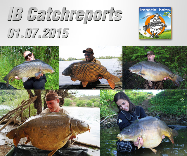 IB Catch Reports – 06.07.2015