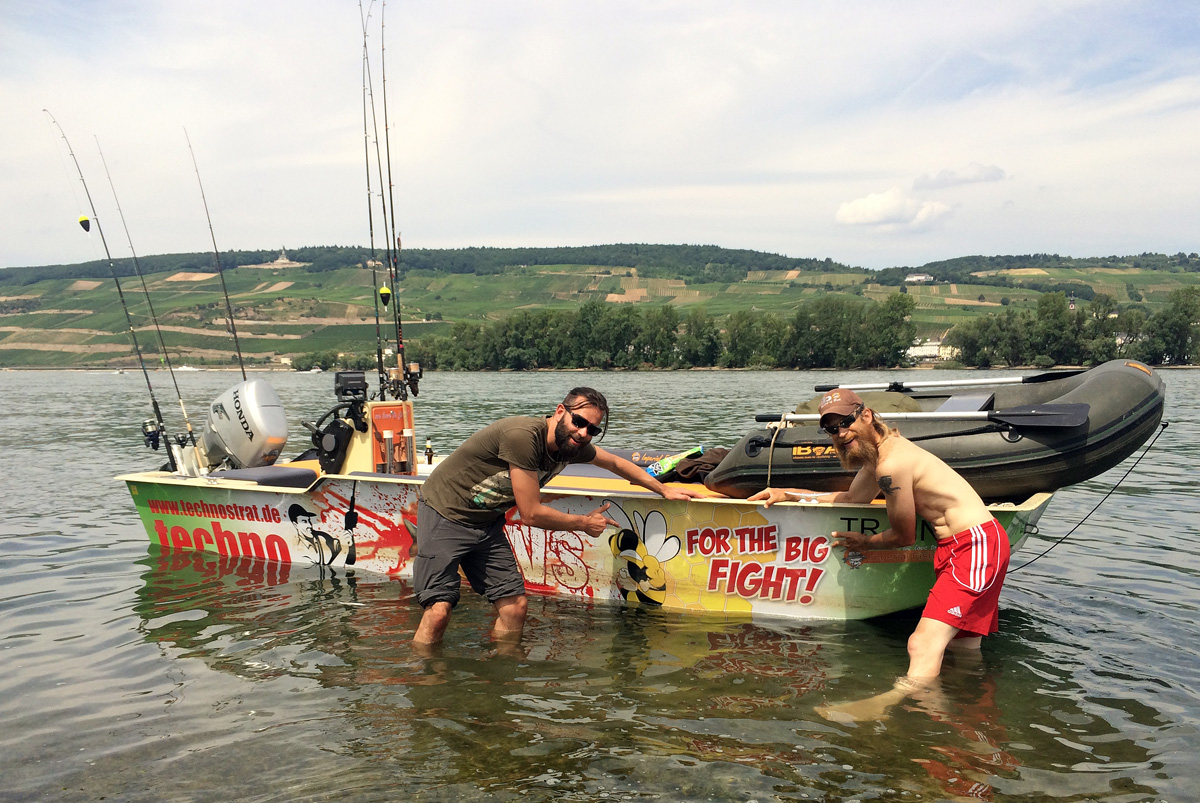 Catfish action on the river Rhine